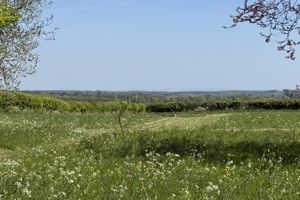 Photo 45- click for photo gallery